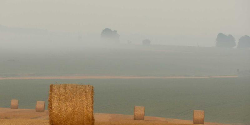 企业管理31：从培训咨询到组织发展的系统路径