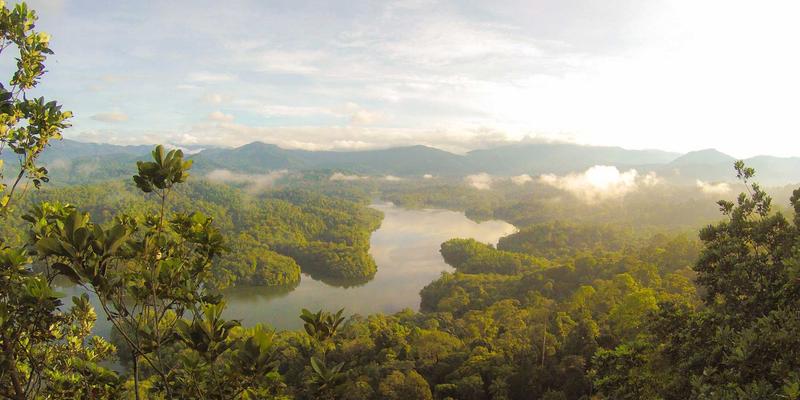 企业管理33：组织发展与培训咨询的协同之道