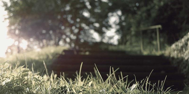 企业管理90：通过培训咨询与领导力培训实现组织飞跃