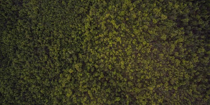 企业管理入门：掌握组织发展与领导力培训的核心法则