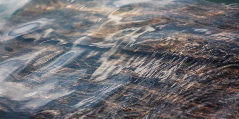 企业管理攻略：从迪萨姆模式看领导力培训的核心价值