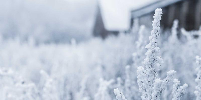 企业管理新引擎：组织发展、培训咨询与领导力培训的协同之道