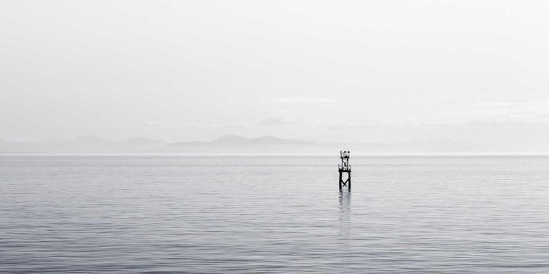 企业管理进阶之道:以培训咨询驱动组织发展,构建可持续竞争力