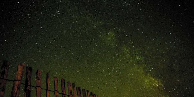 战略人力资源管理：以迪萨姆领导力培训驱动组织发展，实现人才与业务目标深度对齐