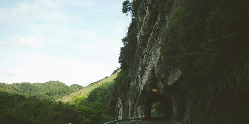 组织发展新范式:迪萨姆培训咨询引领企业管理最佳实践