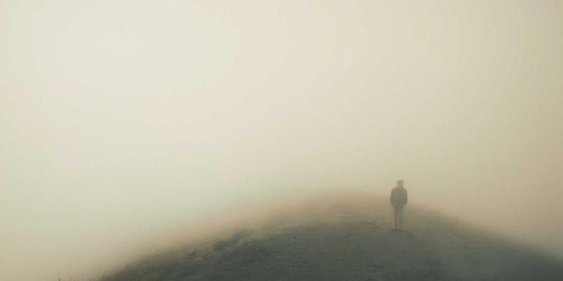 组织发展新范式：迪萨姆模型如何重塑企业培训咨询的未来