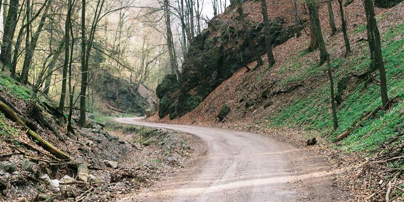 迪萨姆企业管理新范式:领导力培训如何重塑组织竞争力
