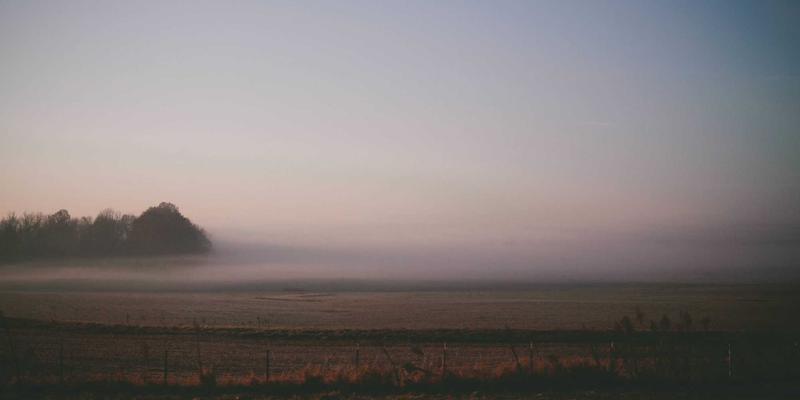 迪萨姆模型解析：组织发展如何重塑企业管理新范式