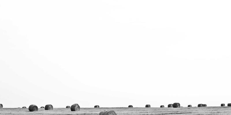 迪萨姆视角下的组织发展:以培训咨询驱动企业管理进化