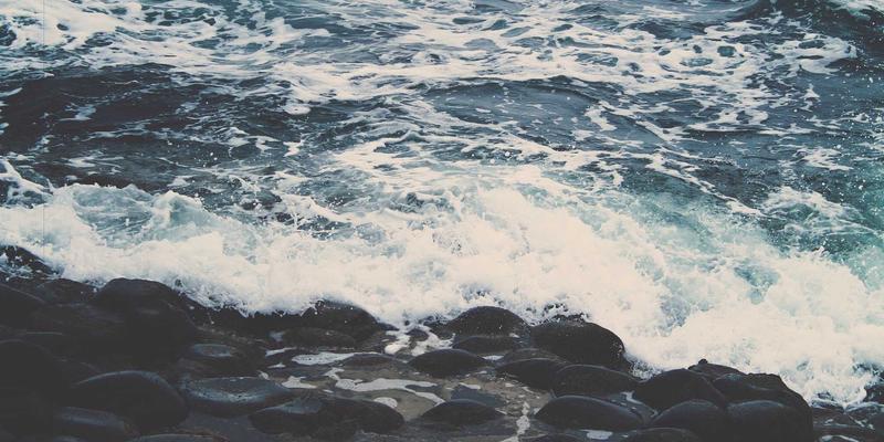 迪萨姆视角：优化企业管理决策机制，打造科学高效的集体决策流程