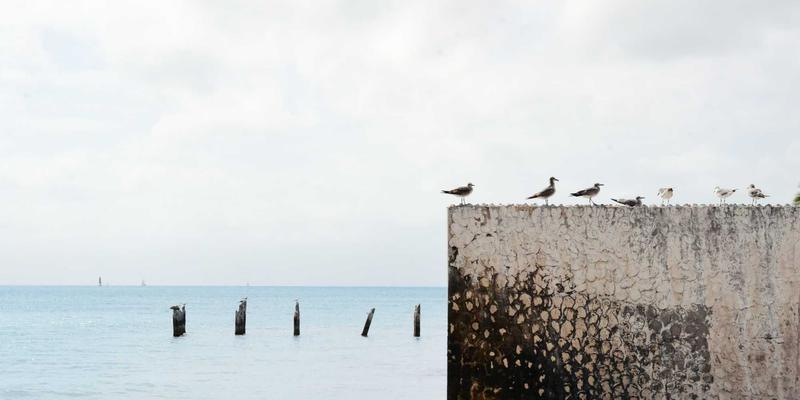 领导力培训与组织发展：迪萨姆视角下的接班人计划与人才梯队建设